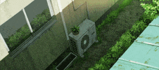 Animation Japan GIF by All The Anime — Anime Limited