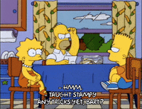 Season 5 Annoyance GIF by The Simpsons
