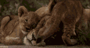 mothers day GIF