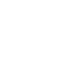 Pxgapparel Sticker by PXG