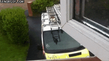 cat jumping GIF by Cheezburger