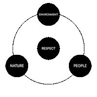 SendoConcept green respect sendo rispetto Sticker