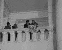 Film Flying GIF