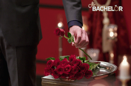 Thebachelor GIF by The Bachelor Australia