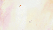silu GIF