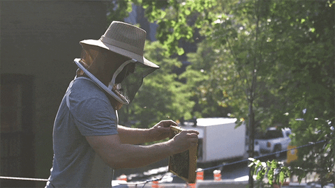 Mcgillu GIF by McGill University