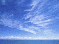 Clubhouse 海滩 GIF