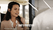 Perfection GIF by NBC