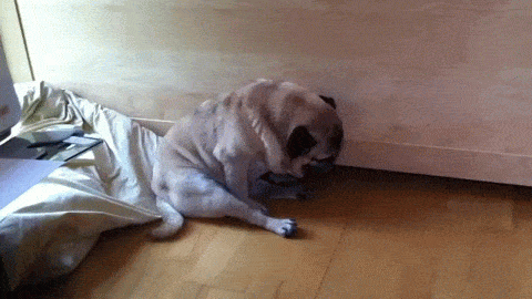 monday morning GIF