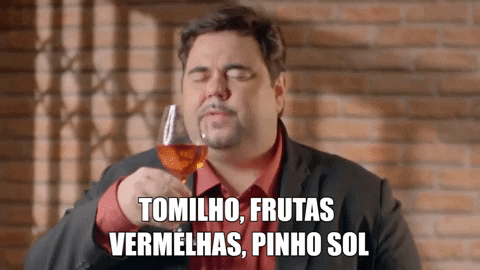 Vinho Sommelier GIF by Porta Dos Fundos