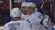 happy ice hockey GIF by NHL