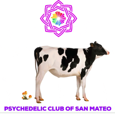 psychedelicsanmateo giphygifmaker rainbow trippy psychedelic GIF