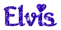 Elvis Presley Fan Sticker