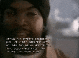 what can i do GIF by Ice Cube