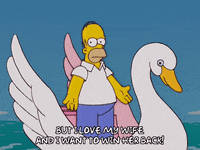 homer simpson water GIF