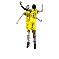 Ewe Baskets Odiase Sticker by EWE Baskets Oldenburg
