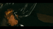 Crime Scene Smoking GIF by Nascar Aloe