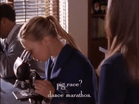 season 3 netflix GIF by Gilmore Girls 