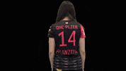 dhcplzen  GIF
