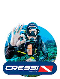 Dive Yes Sticker by Cressi1946
