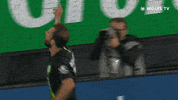 Soccer Bundesliga GIF by VfL Wolfsburg