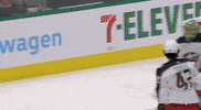 Ice Hockey Sport GIF by NHL