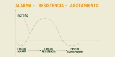 Resistencia Commons GIF by Commons. adaptógenos