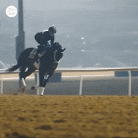Sport Champion GIF by World Horse Racing