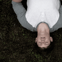 thesociety netflix the society GIF