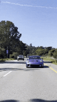 pol_media purple california prince porsche GIF