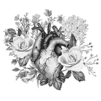 animation heart Sticker