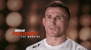 Sport Mma GIF by UFC