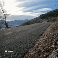 Sport Driving GIF by FIA World Rally Championship