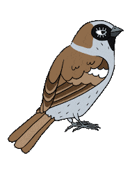 Bird Ville Sticker