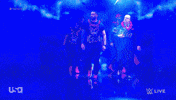 Wwe Wrestling GIF by USA Network