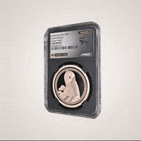 Coin GIF by VeeFriends