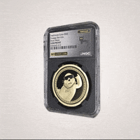 Sea Lion Coin GIF by VeeFriends