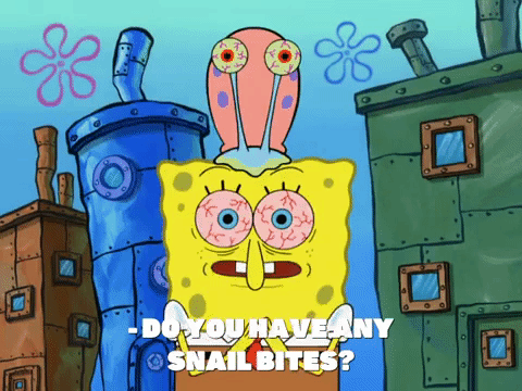 season 8 episode 22 GIF by SpongeBob SquarePants