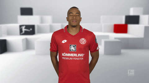 1 Fsv Mainz 05 Football GIF by Bundesliga