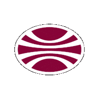 Logo Brand Sticker by Aseguradora Ancón