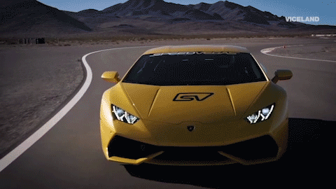 viceland GIF by MOST EXPENSIVEST