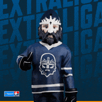Hockey Hokej GIF by Tipsport extraliga