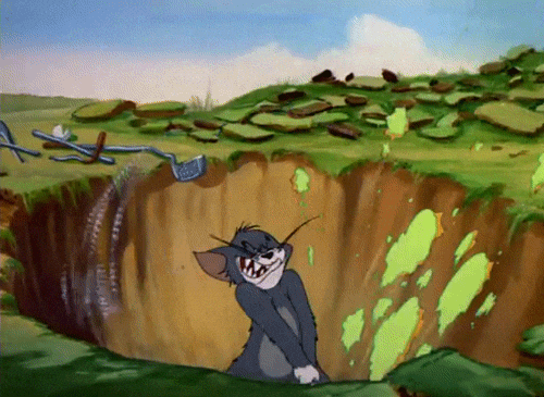 tom tunes GIF