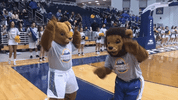 dance dancing GIF by Hofstra University