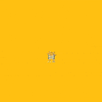 The Pride Hofstrau GIF by Hofstra University