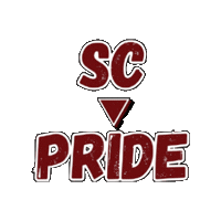 Pride Sticker by Springfield College