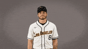 Cal State La Baseball GIF by Cal State LA Golden Eagles