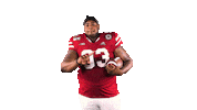 Damiondaniels Sticker by Huskers