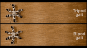 GIF by Le Monde.fr