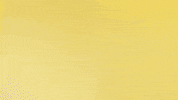 Borussia Dortmund Hello GIF by Bundesliga
